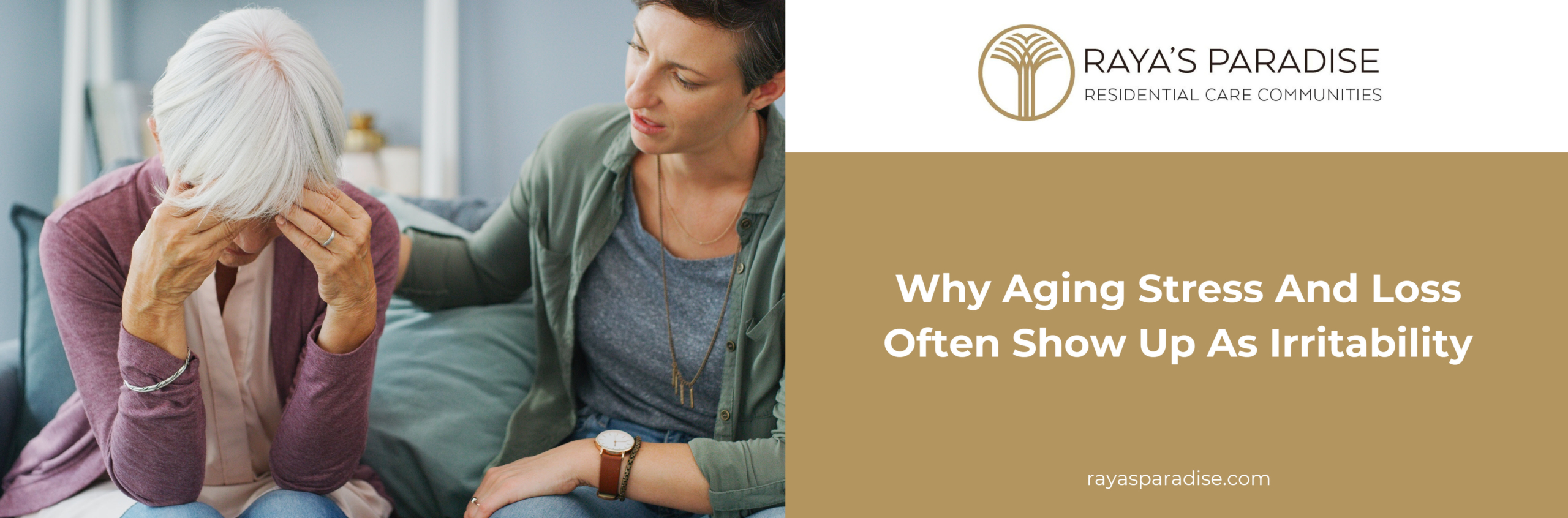 Understanding Senior Negativity An adult child listens calmly as an elderly parent expresses frustration while sitting together in a living room.