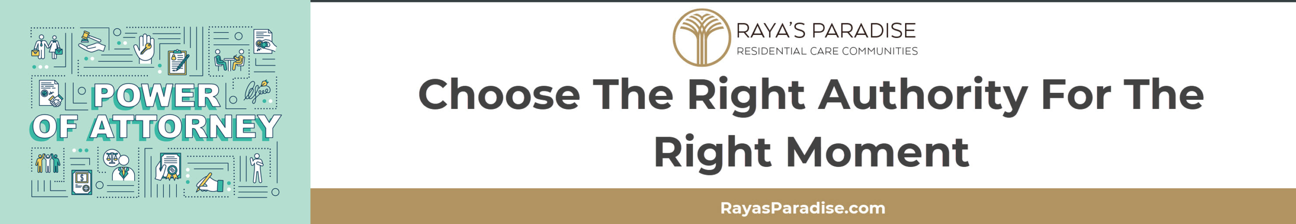 Simple chart-style document showing financial, healthcare, and limited power of attorney categories.