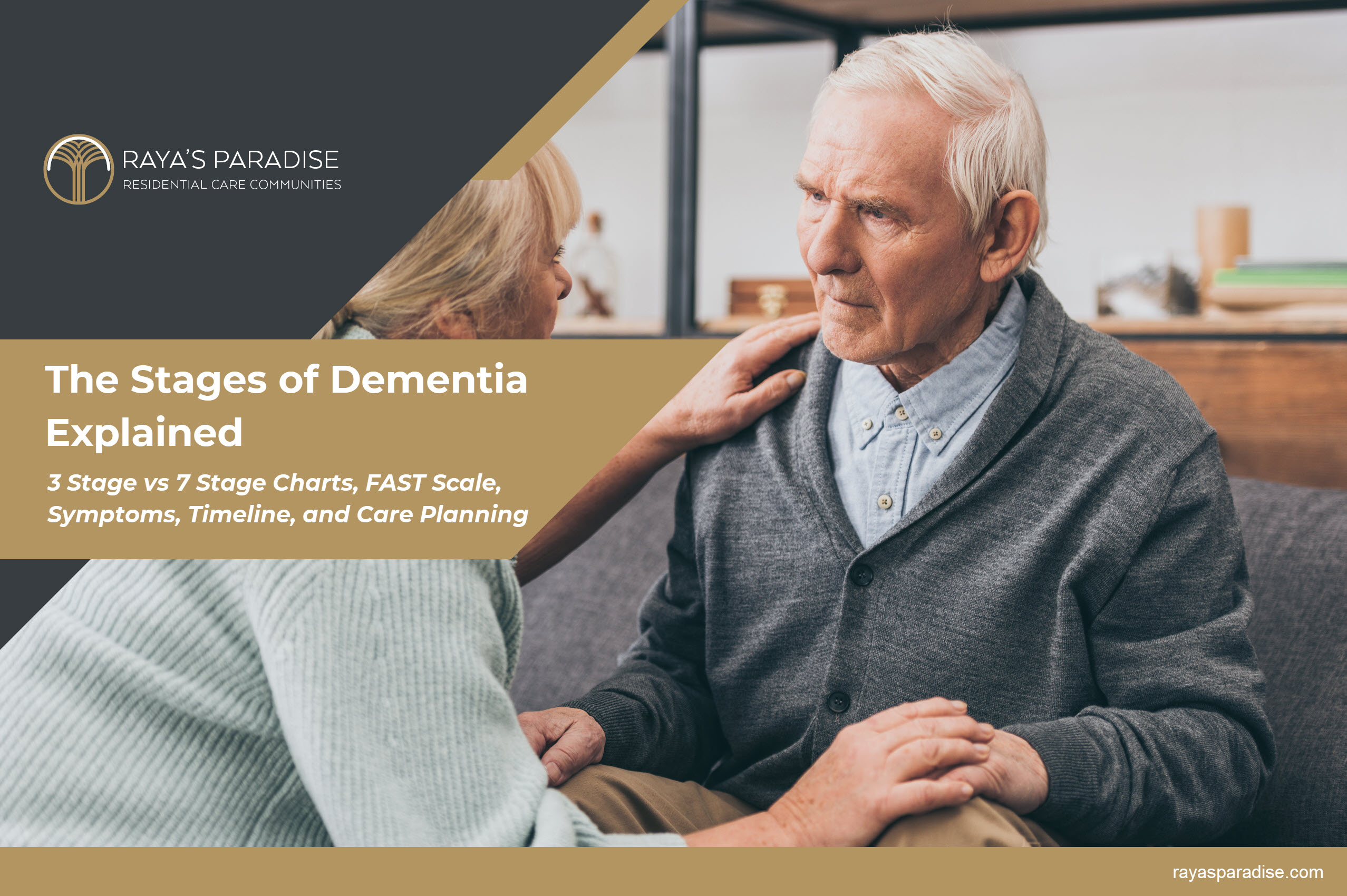 The Stages of Dementia Explained - 3 Stage vs 7 Stage Charts, FAST Scale, Symptoms, Timeline, and Care Planning