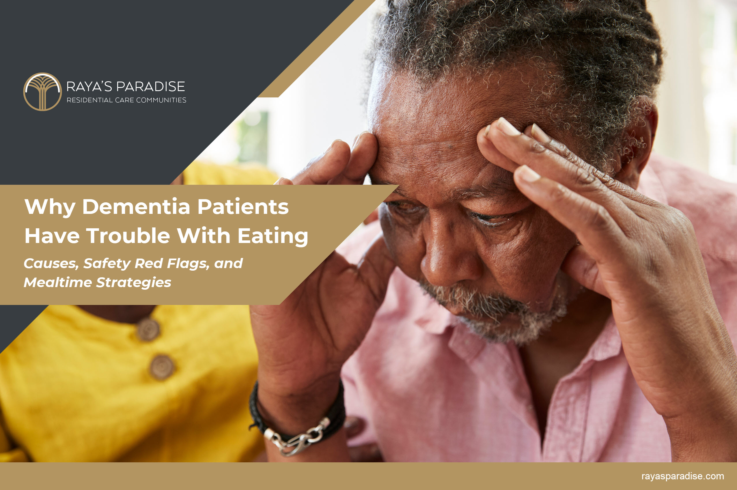 Why Dementia Patients Have Trouble With Eating Why Dementia Patients Have Trouble With Eating - Causes, Safety Red Flags, and Mealtime Strategies