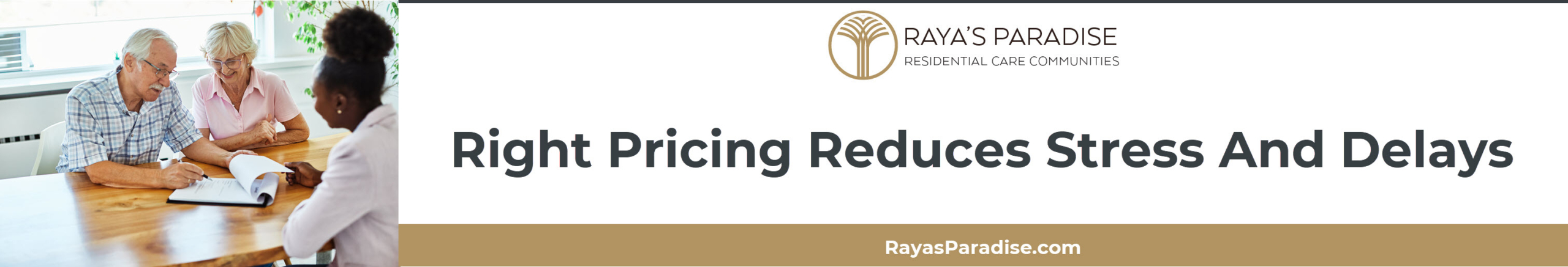 Senior and real estate agent reviewing comparable home prices.