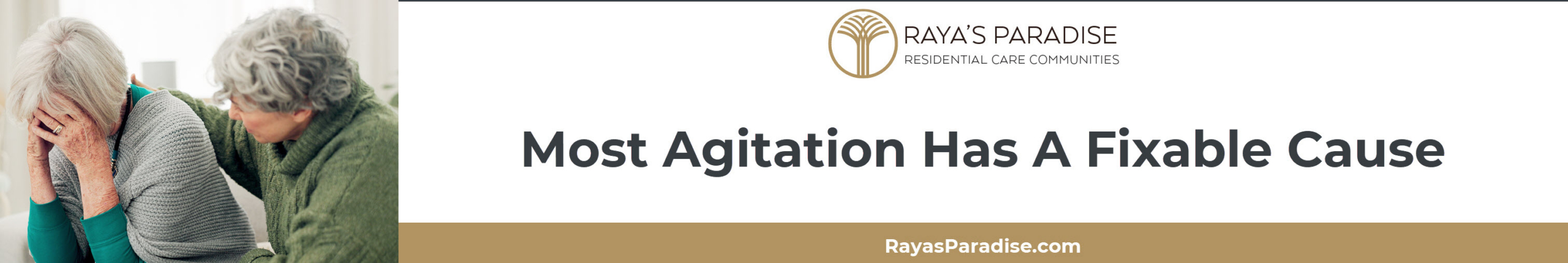 This section includes a checklist of common dementia agitation causes like pain, infection, constipation, hunger, and overstimulation.