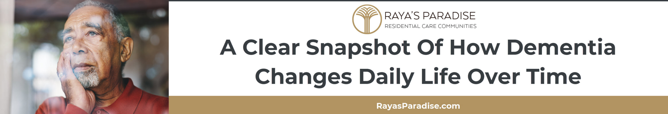 This section describes early, middle, and late dementia stages with typical cognitive, behavioral, and functional changes for families.