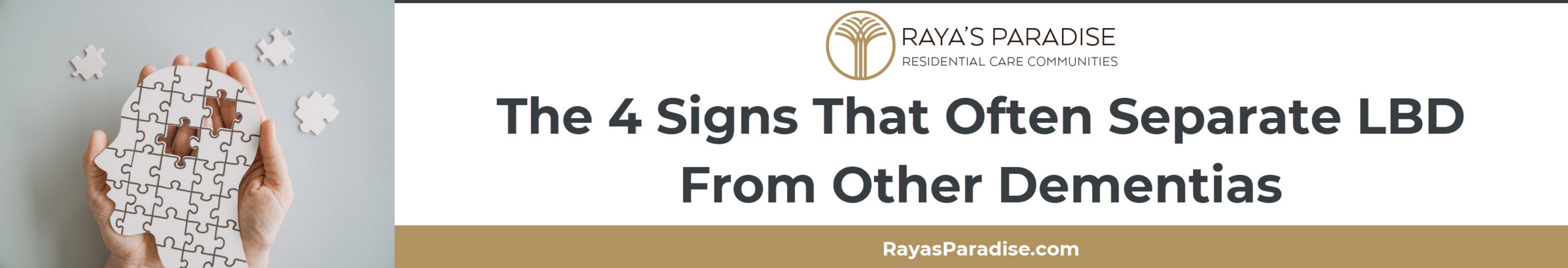 Early Lewy body dementia symptoms including cognitive fluctuations, hallucinations, REM sleep behavior disorder, and parkinsonism.