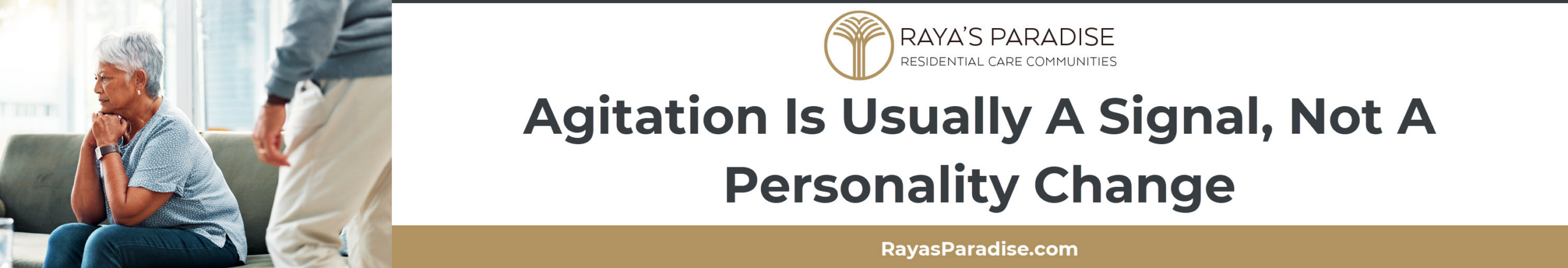 This section describes common dementia agitation triggers including pain, overstimulation, confusion, fatigue, and unmet needs.