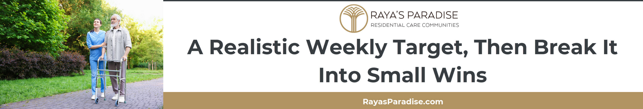This section describes dementia-friendly exercise goals using CDC recommendations and practical short-session scheduling options.